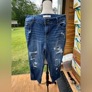 Cato Distressed Blue Jeans